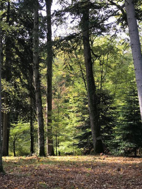 Вилла Domaine De La Vaudouriere Lunay Экстерьер фото