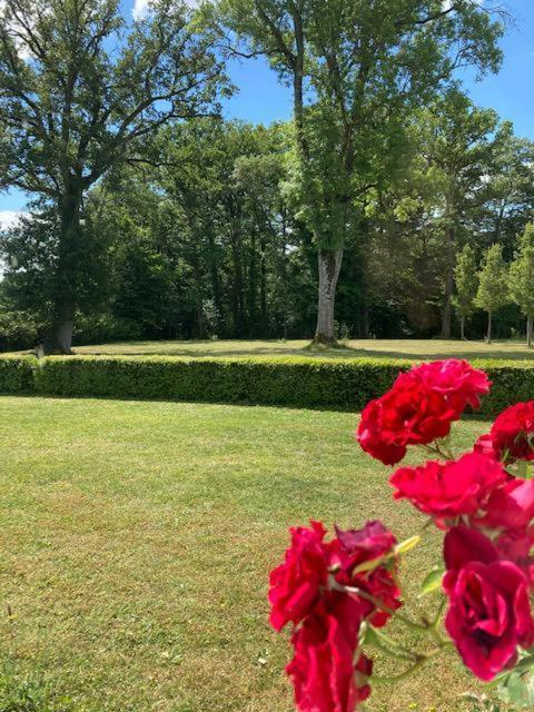 Вилла Domaine De La Vaudouriere Lunay Номер фото